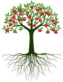 Apple Tree Illustration 